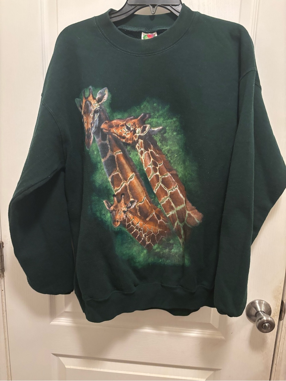 Fruit of the Loom Dark Green Sweatshirt with Giraffe Family Graphic